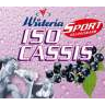 Wüteria Sport Iso Cassis